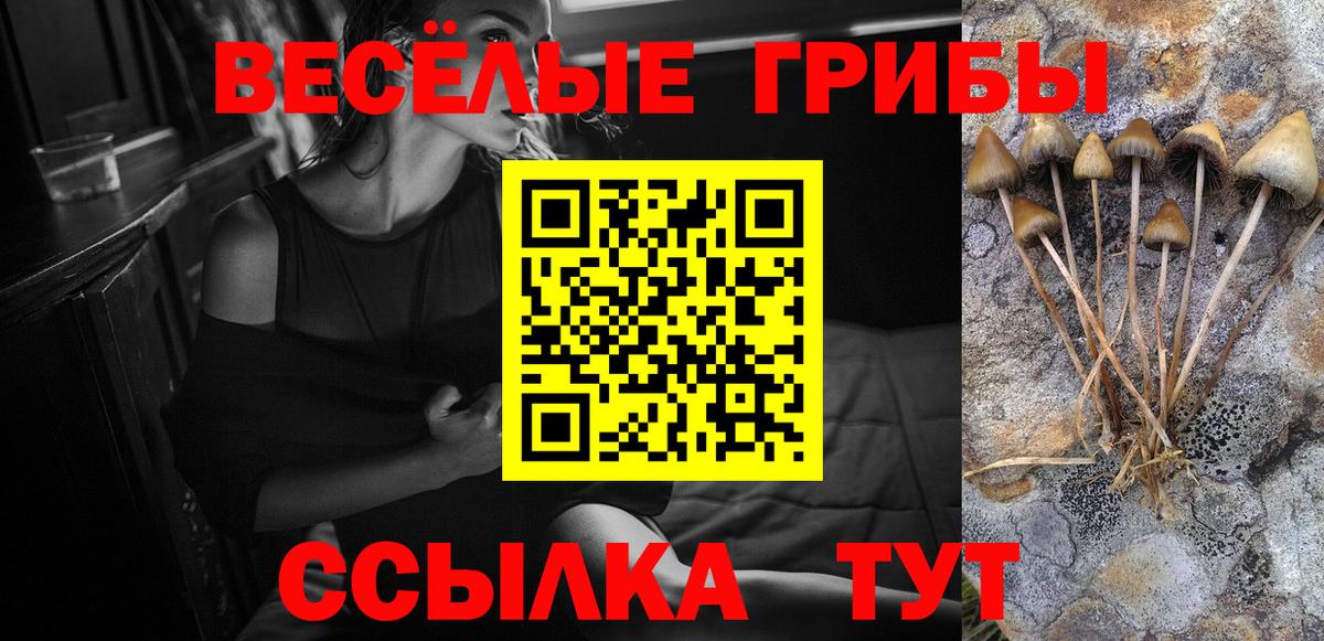 Галлюциногенные грибы Magic Shrooms  Вход с VPN  Азнакаево 